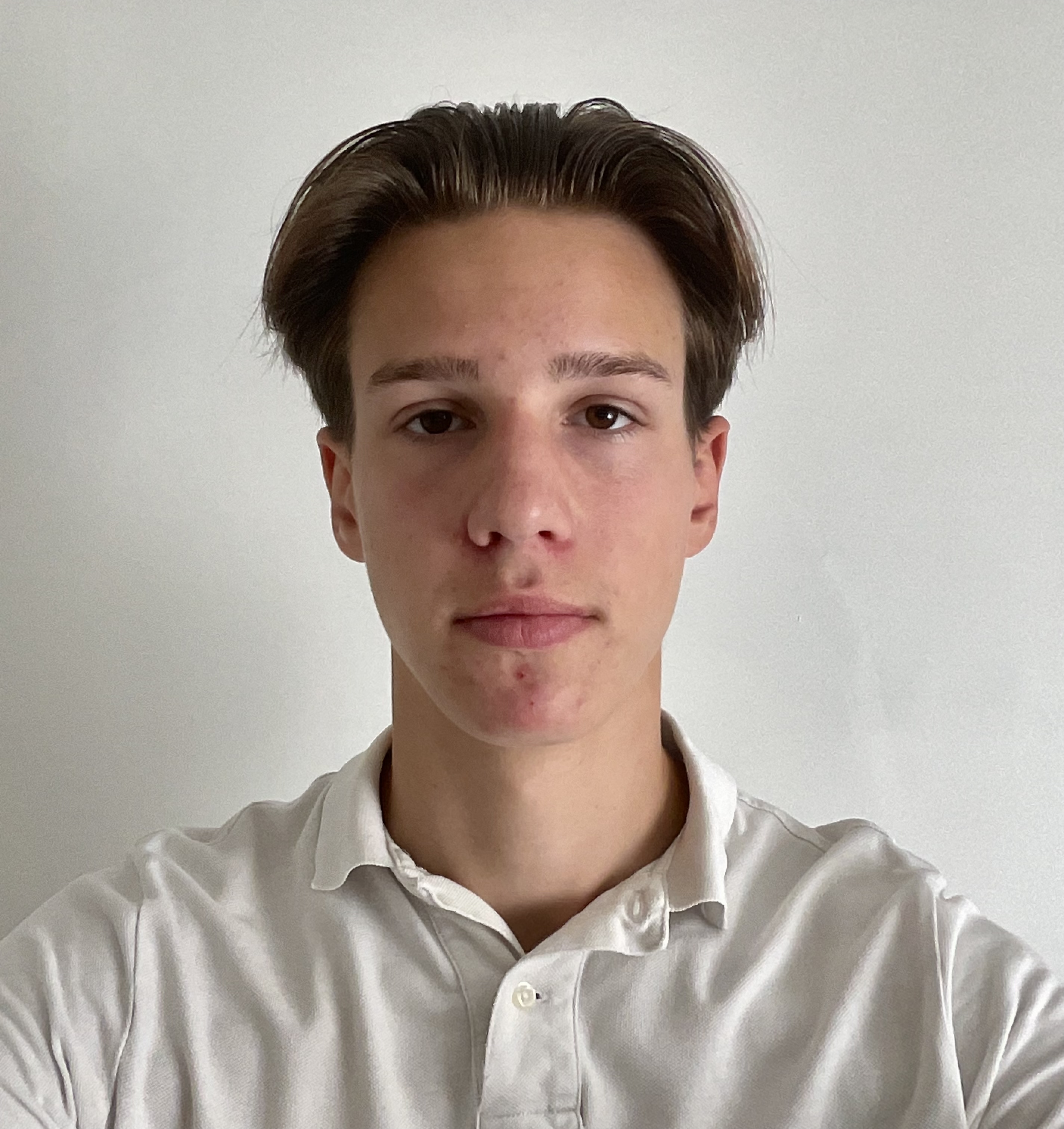 Beskrivelse 2